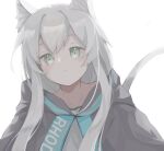 1girl animal_ears arknights bangs blush cat_ears cat_girl cat_tail cloak closed_mouth commentary green_eyes highres hood hood_down hooded_cloak iroiro_shitai01 long_hair rosmontis_(arknights) silver_hair simple_background solo tail white_background 