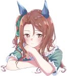  1girl :t animal_ears blush brown_eyes brown_hair commentary cropped_torso frilled_shirt frills green_shirt ha_(hura76752775) highres horse_ears horse_girl king_halo_(umamusume) long_hair one_side_up parted_lips shirt short_sleeves simple_background solo umamusume upper_body white_background 