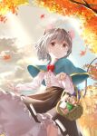  1girl animal_ears autumn_leaves bag bangs basket black_skirt blue_capelet blush bow bowtie breasts buttons capelet center_frills commentary_request crystal dress eyebrows_visible_through_hair eyelashes frilled_skirt frills gold_trim grey_hair head_tilt highres holding holding_basket jewelry long_sleeves looking_at_viewer mouse_ears mouse_girl mouse_tail nagiyu_(shirokuma_village) nazrin paper_bag pendant red_bow red_bowtie red_neckwear ribbon-trimmed_skirt ribbon_trim shirt short_hair skirt small_breasts smile solo standing tail touhou tree upper_body vial white_shirt wrist_cuffs yellow_eyes 