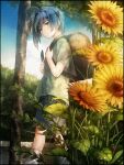 1boy backpack bandage blue_hair flower green_eyes leaf looking_at_viewer male outside phone sky smile solo stars sunflower tree 