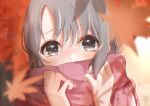  1girl blurry blurry_background blurry_foreground blush covered_mouth depth_of_field falling_leaves grey_hair holding holding_clothes holding_scarf idolmaster idolmaster_cinderella_girls leaf looking_at_viewer maple_leaf maple_tree otokura_yuuki outdoors plaid plaid_scarf portrait scarf solo tree yuukura_yuu 