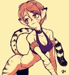  1girl animal_ears breasts breath_of_fire breath_of_fire_ii bustier cat_ears cat_tail facial_mark furry furry_female mikan_sanjuurou navel no_pants pointy_ears rinpoo_chuan short_hair simple_background solo tail 