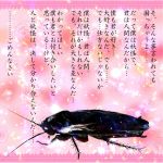  cockroach confession firefly insect oppao parody pov rejection touhou translated wriggle_nightbug wriggle_nightbug_(bug) 