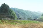  bridge building commentary_request day forest grass ito_eri mountain nature no_humans original power_lines railing rural scenery sky tree utility_pole 