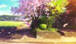  blue_sky bozu_(ogiyama) building bush cherry_blossoms clouds commentary_request day falling_petals grass no_humans original petals plant road scenery shade sky spring_(season) sunlight tree utility_pole 