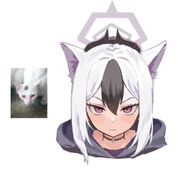  1girl animal_ears ayo_rimaisu black_hair black_hoodie black_horns blue_archive cat cat_ears choker closed_mouth cropped_head demon_horns grey_halo hair_between_eyes halo highres hood hood_down hoodie horns kayoko_(blue_archive) looking_at_viewer multicolored_hair pink_eyes portrait real_life_insert sidelocks simple_background solo streaked_hair two-tone_hair white_background white_hair 