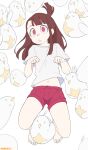 absurdres artist_name bangs barefoot belly bird brown_hair chicken from_above full_body hand_up head_tilt highres kagari_atsuko little_witch_academia long_hair looking_at_viewer lying navel once_11h open_mouth red_eyes red_shorts shirt short_sleeves shorts tied_hair white_background white_shirt 