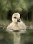  animal animal_focus artist_name bird black_eyes chinese_commentary closed_mouth dated duck duckling grass highres no_humans original pet procreate_(medium) reflection swimming tienai tree water 
