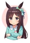  1girl absurdres animal_ears badge bangs blush brown_hair button_badge child closed_mouth collared_shirt commentary_request cropped_torso crossed_arms dot_nose ear_bow frown green_shirt hair_ornament hairclip highres horse_ears inuyabu_cc long_hair long_sleeves looking_at_viewer mejiro_dober_(umamusume) shirt solo two-tone_background umamusume upper_body violet_eyes younger 