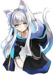  1girl andou_yuna animal_ear_fluff animal_ears arknights bangs blush cat_ears cat_girl cat_tail cloak green_eyes highres hood hood_down hooded_cloak infection_monitor_(arknights) long_hair parted_lips rosmontis_(arknights) silver_hair solo tail 