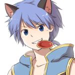  1boy alternate_color animal_ear_fluff animal_ears bangs black_coat blue_coat blue_eyes blue_hair cat_ears champion_(ragnarok_online) coat commentary_request cup eyebrows_visible_through_hair gold_trim grin hooded_coat looking_at_viewer male_focus mouth_hold natsuya_(kuttuki) open_clothes open_coat ragnarok_online sakazuki short_hair short_ponytail simple_background sleeveless_coat smile solo two-tone_coat upper_body white_background 