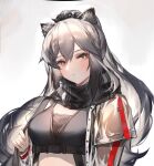  1girl absurdres animal_ears arknights bangs bikini black_bikini black_scarf cat_ears cat_girl closed_mouth commentary english_commentary expressionless grey_background grey_hair highres long_hair looking_at_viewer mkt_(pixiv15187870) ponytail revision scarf schwarz_(arknights) see-through_sleeves solo swimsuit upper_body yellow_eyes 