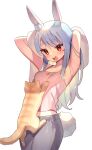 1girl :d alternate_costume animal animal_ear_fluff animal_ears armpits arms_up bangs bare_shoulders black_pants blue_hair blush breasts camisole cat commentary_request eyebrows_visible_through_hair highres hololive long_hair midriff_peek pants rabbit_ears rabbit_girl rabbit_tail red_eyes short_eyebrows simple_background small_breasts smile solo tail teeth thick_eyebrows towel upper_teeth usada_pekora very_long_hair virtual_youtuber white_background white_camisole zenshin 