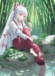  1girl arm_garter arm_up baggy_pants bamboo bamboo_forest bangs barefoot bird bird_on_hand blunt_bangs blush bow closed_mouth collared_shirt day eyelashes forest fujiwara_no_mokou grass hair_bow hand_on_own_leg highres light_smile long_hair long_sleeves moss nanasuou nature ofuda ofuda_on_clothes pants red_eyes reflection ripples river shirt sitting sitting_on_rock smile solo sparrow suspenders touhou two-tone_bow very_long_hair white_hair wing_collar 