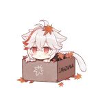  1boy animal_ears antenna_hair box cardboard_box cat_ears cat_tail closed_mouth commentary english_commentary genshin_impact highres in_box in_container kaedehara_kazuha kemonomimi_mode leaf leaf_on_head looking_to_the_side male_focus maple_leaf multicolored_hair red_eyes redhead romaji_text solo streaked_hair tail white_hair yuzukosho 