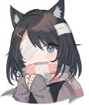  1girl animal_ear_fluff animal_ears bandage_over_one_eye black_hair blue_eyes cat_ears checkered checkered_scarf expressionless highres long_sleeves looking_at_viewer original satou_(3366_s) scarf short_hair sketch sleeves_past_wrists sweater 
