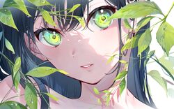  1girl bangs black_hair green_eyes leaf lips long_hair miwano_ragu original parted_lips shadow signature solo symbol-only_commentary water_drop 