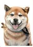  abe_yuichiro absurdres animal_focus colored_pencil_(medium) crystal dog highres looking_at_viewer no_humans open_mouth original shiba_inu simple_background tongue tongue_out tourmaline_(gemstone) traditional_media white_background 