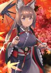  1girl absurdres amagi_(azur_lane) animal_ear_fluff autumn autumn_leaves azur_lane breasts brown_hair coat cowboy_shot eyebrows_visible_through_hair gloves highres holding holding_umbrella japanese_clothes kimono large_breasts leaf long_hair maple_leaf metal_belt oil-paper_umbrella open_clothes open_coat partially_fingerless_gloves purple_kimono red_coat sakuramon solo standing take_yaki umbrella violet_eyes wide_sleeves 