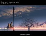  bench byousoku_5_centimetre power_lines shinkai_makoto shinohara_akari sitting sunset telephone_pole tree 