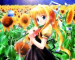  air goto_p kamio_misuzu key sunflower visualart 