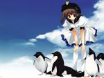  bird mitsumi_misato penguin tagme 
