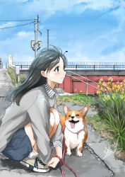  1girl animal black_hair blue_eyes collared_shirt commentary_request day dog from_side full_body highres holding holding_leash leash long_hair long_sleeves looking_up original outdoors power_lines profile rapeseed_blossoms shirt shoes shorts sky smile sneakers socks solo soragane_(banisinngurei) squatting striped_clothes striped_shorts utility_pole welsh_corgi 