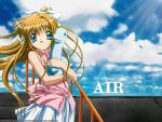  air dinosaur kamio_misuzu sky tagme 