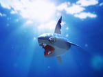  3d nintendo no_humans pokemon pokemon_(creature) realistic shark sharpedo solo sunlight underwater 