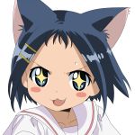  :3 animal_ears cat_ears highres ikeda_kana saki vector_trace 