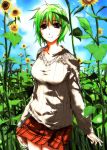  breasts cloud contemporary flower flower_field funeral_(artist) green_hair highres kazami_yuuka nature plaid plaid_skirt red_eyes short_hair skirt sky smile sumisi sunflower sweater touhou 