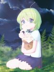  1girl :t antennae bangs black_cape black_shorts blush cape closed_mouth clouds collared_shirt commentary_request eating fern food food_request full_body grass green_eyes green_hair kari_(atsuki_565) looking_at_viewer night outdoors red_cape shirt short_hair short_sleeves shorts sitting sky solo star_(sky) starry_sky touhou two-sided_cape two-sided_fabric wagashi white_shirt wriggle_nightbug 