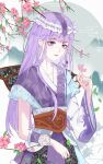  1girl asymmetrical_sleeves branch bug butterfly flower hair_ornament highres leaf long_hair purple_hair qin_shi_ming_yue sash shao_siming_(qin_shi_ming_yue) shao_siming_guang_wei smile violet_eyes 
