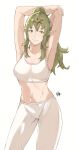  1girl alternate_costume bangs breasts closed_mouth commentary eyebrows_visible_through_hair fire_emblem fire_emblem_awakening green_eyes green_hair long_hair looking_at_viewer navel pointy_ears ponytail sakuremi smile solo standing stretch tiki_(fire_emblem) 