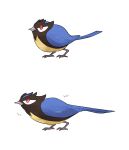  beak bird closed_mouth commentary_request from_side full_body korean_commentary multiple_views no_humans pokemon pokemon_(creature) red_eyes redlhzz rookidee simple_background standing white_background 