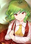  1girl ascot bangs blurry buttons depth_of_field eyebrows_visible_through_hair frilled_neckwear green_hair hair_behind_ear highres holding holding_umbrella kazami_yuuka light_smile long_sleeves looking_at_viewer medium_hair open_clothes open_vest parted_lips plaid plaid_skirt plaid_vest red_eyes shirt skirt skirt_set solo swept_bangs tottoripiyo touhou umbrella upper_body vest wavy_hair white_shirt wing_collar yellow_ascot 