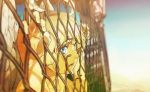  blonde_hair blue_eyes blurry chainlink_fence depth_of_field fence halo highres open_mouth original short_hair solo sunset wings yone_(emoiwarenu) 