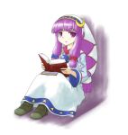  final_fantasy final_fantasy_xi long_hair nice patchouli_knowledge purple_eyes purple_hair solo the_iron_of_yin_and_yang touhou violet_eyes 