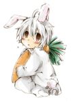  animal_ears brown_eyes bunny_ears bunny_tail carrot death_note hangdok male near rabbit_ears solo tail white_hair 
