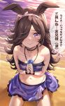  1girl animal_ears bare_shoulders beach bikini blush breasts brown_hair closed_mouth collarbone crying crying_with_eyes_open hair_over_one_eye horse_ears horse_girl long_hair mikumo_(lpmkookm) navel ocean purple_bikini purple_sarong rice_shower_(umamusume) sarong small_breasts solo speech_bubble swimsuit tears translation_request umamusume violet_eyes 