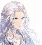  1girl blue_eyes braid character_request collarbone eyebrows_visible_through_hair eyes_visible_through_hair final_fantasy final_fantasy_xiv grey_background grey_hair highres light_smile long_hair nevakuma_(fanfanas) parted_lips pink_lips simple_background smile solo upper_body 