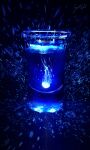  absurdres animal black_background blue_background glass glowing highres jellyfish no_humans original scenery signature skyrick9413 water 