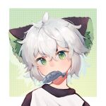  1boy absurdres animal_ears blush cat_boy cat_ears child fish green_background green_eyes highres looking_at_viewer luoxiaohei mouth_hold paki2000 portrait shadow short_hair solo the_legend_of_luo_xiaohei white_hair 