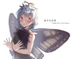  1girl antennae blue_hair blush brown_eyes butterfly_wings copyright_name eternity_larva leaf leaf_on_head looking_at_viewer nooca open_hands open_mouth solo standing touhou white_background wings yellow_eyes 