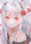  1girl animal_ears bangs blurry cat_ears cat_girl cross-laced_clothes expressionless flower grey_hair highres kiwi500g long_sleeves looking_at_viewer off-shoulder_shirt off_shoulder original red_eyes shirt solo teeth upper_teeth white_flower white_hair 