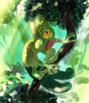  black_eyes branch closed_mouth commentary_request day looking_up no_humans outdoors pecohophop pokemon pokemon_(creature) solo toes treecko 