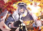  1girl autumn_leaves bangs bird bird_wings black_legwear blue_headwear blush branch breasts buckle cabbie_hat coat_of_arms collared_shirt commentary_request day eyebrows_visible_through_hair eyelashes feather_hat_ornament feathered_wings feet_out_of_frame grey_eyes hanging_legs hat in_tree kure~pu leaf letter long_sleeves looking_at_viewer mail open_mouth original shirt short_hair short_shorts shorts sidelocks silver_hair sitting sitting_in_tree small_breasts solo solo_focus sunlight thigh-highs tree white_shirt white_wings wing_collar wings 
