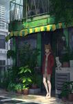  1girl absurdres animal_ears building cat_ears cat_girl city clouds cloudy_sky day door hanagamigendai highres original plant potted_plant rain road scenery shadow sky solo standing street sunlight window 