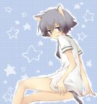  animal_ears bad_id baka_to_test_to_shoukanjuu bare_legs cat_ears cat_tail fang iwashita_(nukopo) male necktie school_uniform solo tail tsuchiya_kouta 