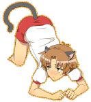  animal_ears ass bad_id baka_to_test_to_shoukanjuu barefoot brown_eyes brown_hair cat_ears cat_tail gym_uniform male solo tabata tail yoshii_akihisa 